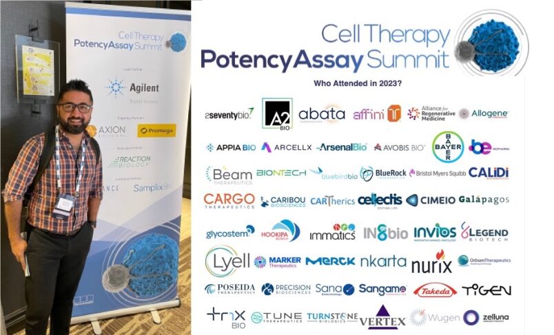 Cell Therapy Potency Assay Summit reveals exclusive insights on regulatory interactions and potency assay development